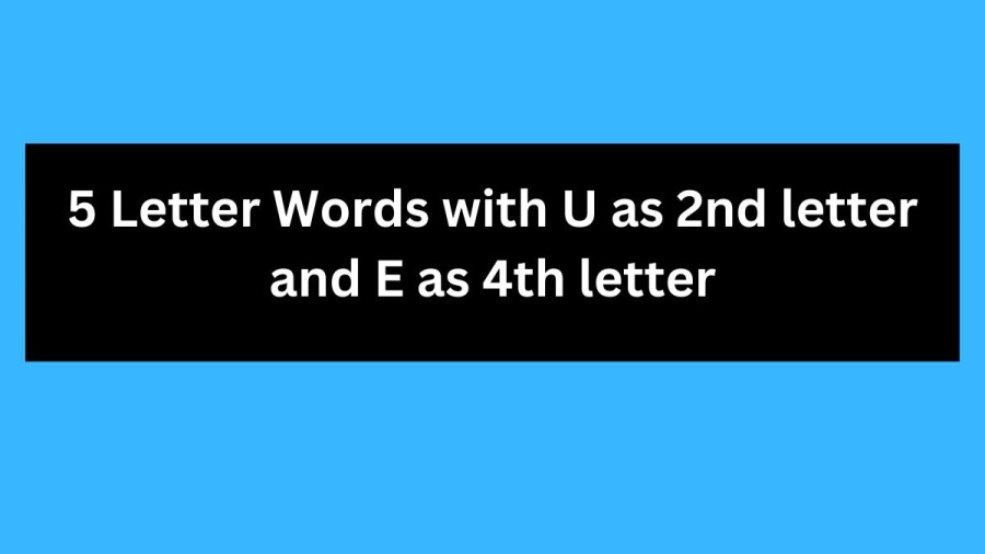 5 Letter Words with U as 2nd letter and E as 4th letter - Wordle Hint