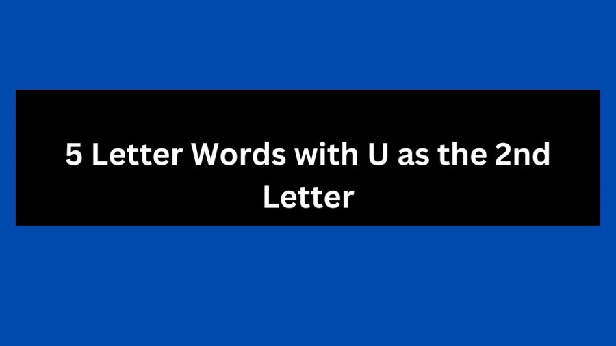 5 Letter Words with U as the 2nd Letter, List Of 5 Letter Words with U as the 2nd Letter