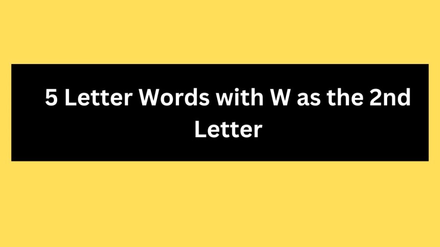 5 Letter Words with W as the 2nd Letter - Wordle Hint