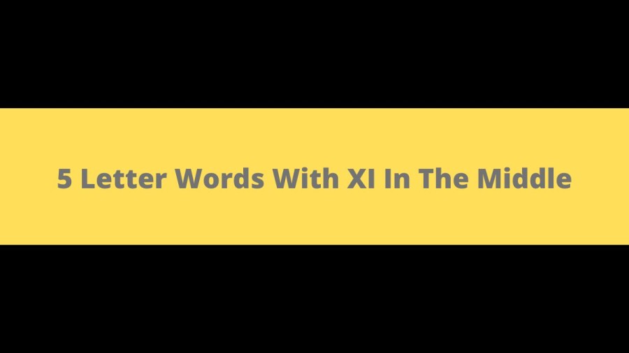 5 Letter Words With XI In The Middle, List Of 5 Letter Words With XI In The Middle