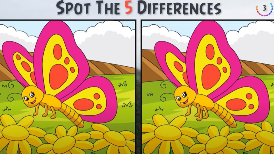 Brain Teaser Eye Test: Find 5 Differences In 15 Secs