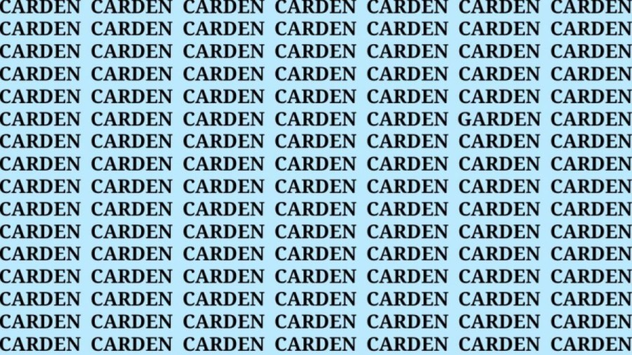 Brain Teaser: If you have Hawk Eyes find the word Garden in 15 secs