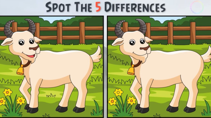 Brain Teaser Image Puzzle: Can you spot 5 differences between these two images within 30 secs?