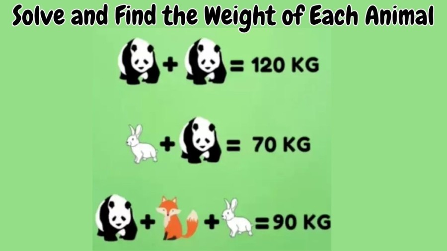 Brain Teaser: Solve and Find the Weight of Each Animal