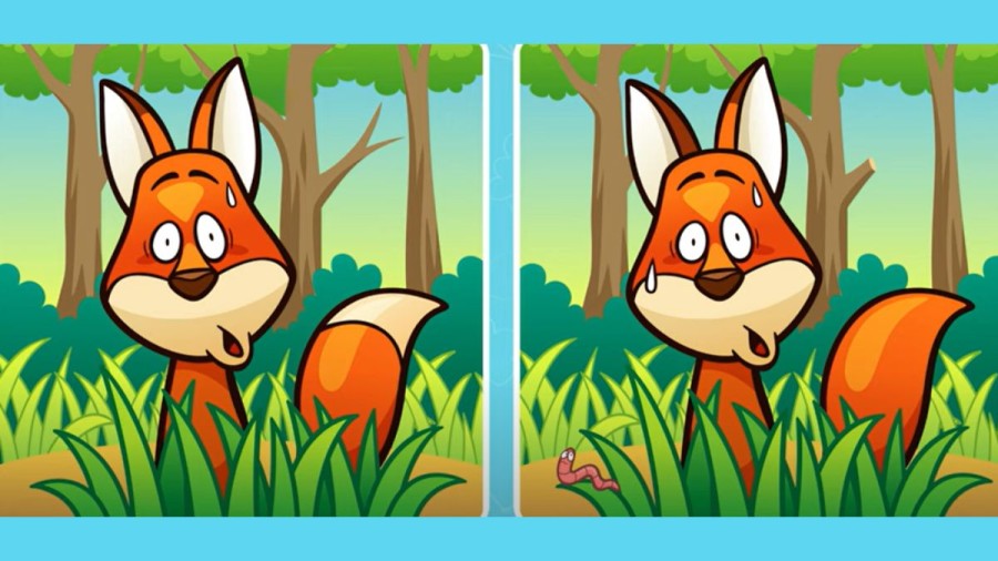 Brain Teaser Spot the Differences: Can you spot 5 differences between these two Images? Picture Puzzle