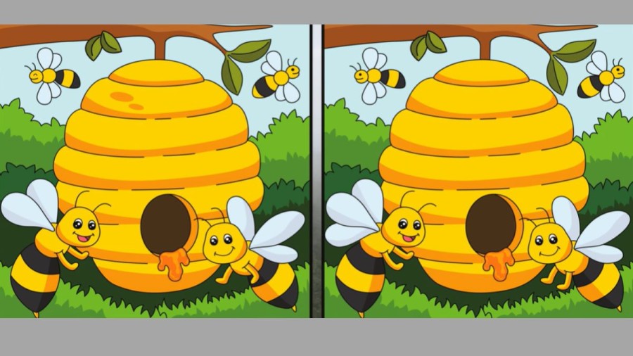 Brain Teaser Spot the Differences: Can you spot 5 differences between these two images? Picture Puzzle