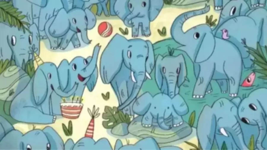 Can You Find the Hidden Rhino among the Elephants within 10 Secs? Explanation And Solution To The Optical Illusion