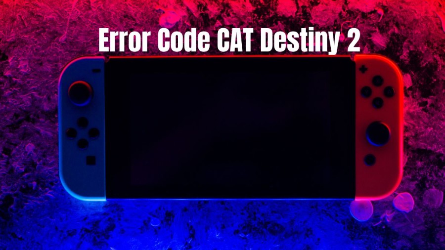 Error Code CAT Destiny 2, How to Fix Destiny 2 Error Code CAT No Update?