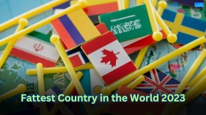 Fattest Country in the World 2023 - Top 10 Obese Countries Revealed