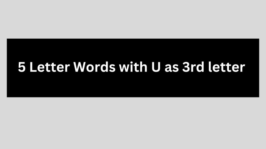 5 Letter Words with U as 3rd letter - Wordle Hint