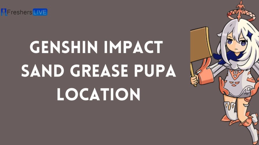 Genshin Impact Sand Grease Pupa Location And Genshin Impact Sand Grease Pupa Farm Routes