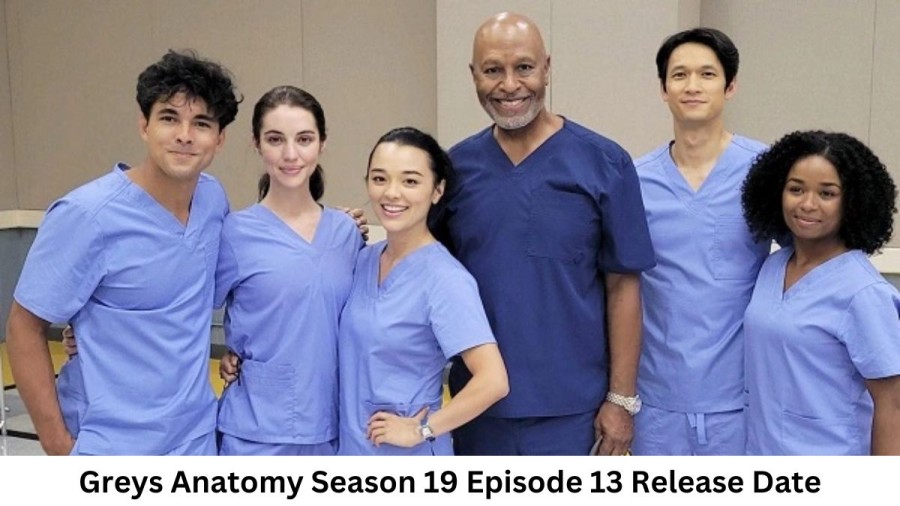 Greys Anatomy Season 19 Episode 13 Release Date and Time, Countdown, When Is It Coming Out?