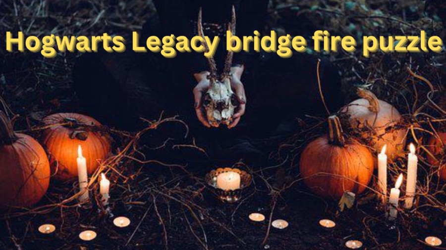 Hogwarts Legacy Bridge Fire Puzzle, How to Solve the Bridge Fire Puzzle in Hogwarts Legacy?