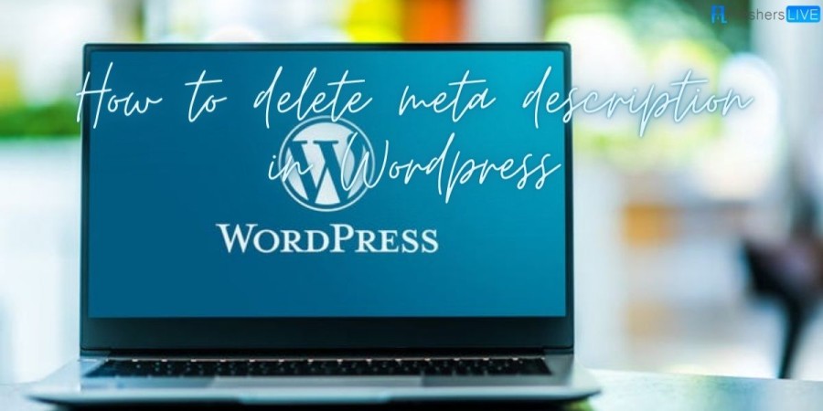 How to delete meta description in Wordpress? How to remove meta description in Wordpress? How to remove meta tag in Wordpress?