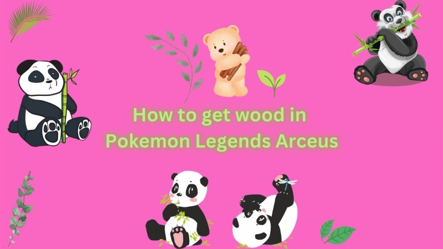 How to get wood in Pokemon Legends Arceus? Where to find wood in Pokemon Arceus?