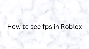 How to see FPS in Roblox, How to Check Your FPS in Roblox?