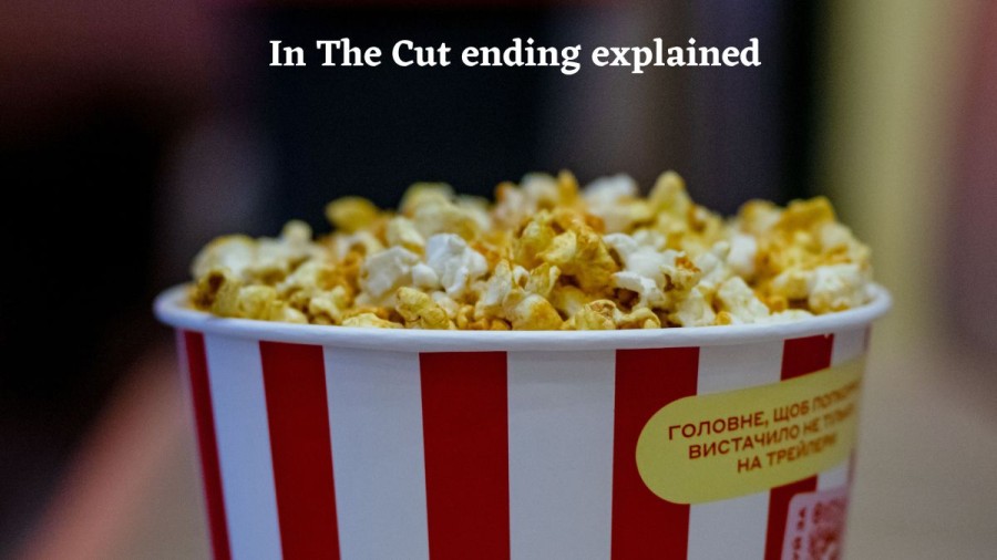 In The Cut ending explained, In The Cut reviews and Where to watch?