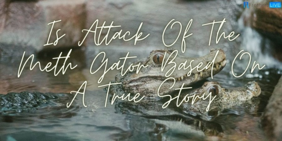 Is Attack Of The Meth Gator based on a True Story? When is Attack Of The Meth Gator Releasing?