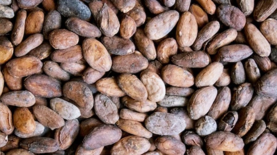 Optical illusion Challenge: If you have sharp vision try to find the Almond among the Cocoa beans within 8 seconds