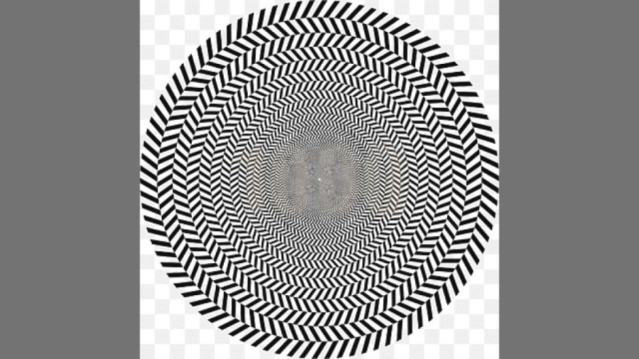 Optical Illusion Test your Vision: If You have Sharp eyes Find the hidden Numerical within 15 Seconds in this optical illusion