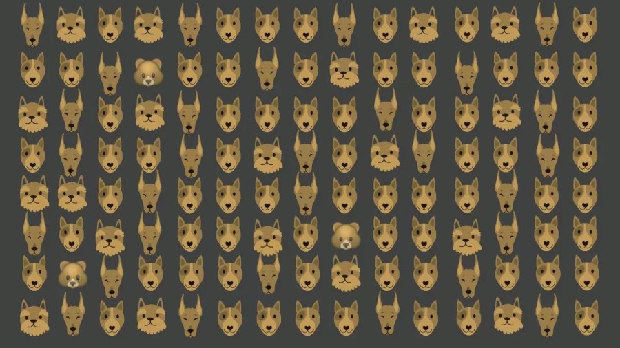 Optical Illusion: Within 20 Seconds, Can you find the 3 Bears among these Dogs? Only a Few Can Get It!