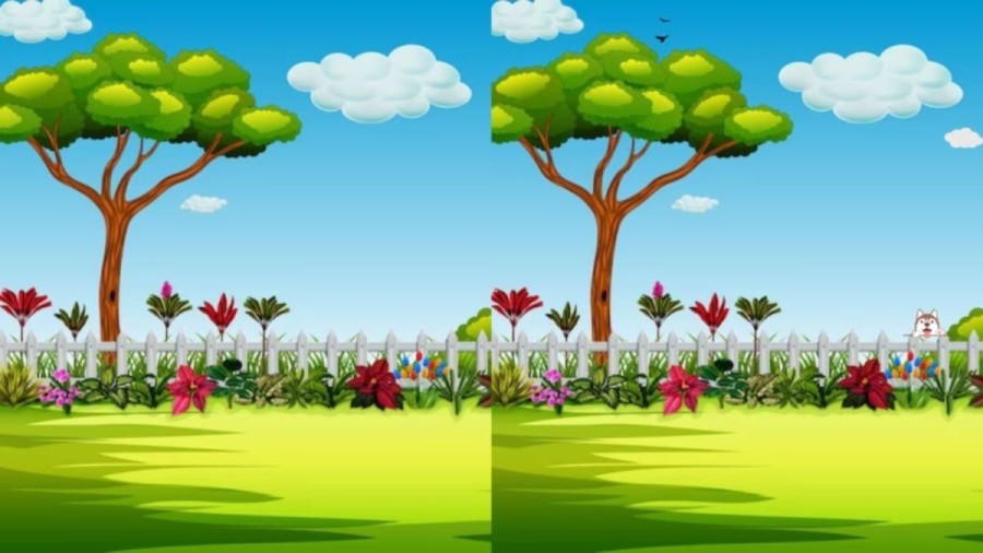 Spot the difference: Only a genius can find the 3 differences in less than 15 seconds!