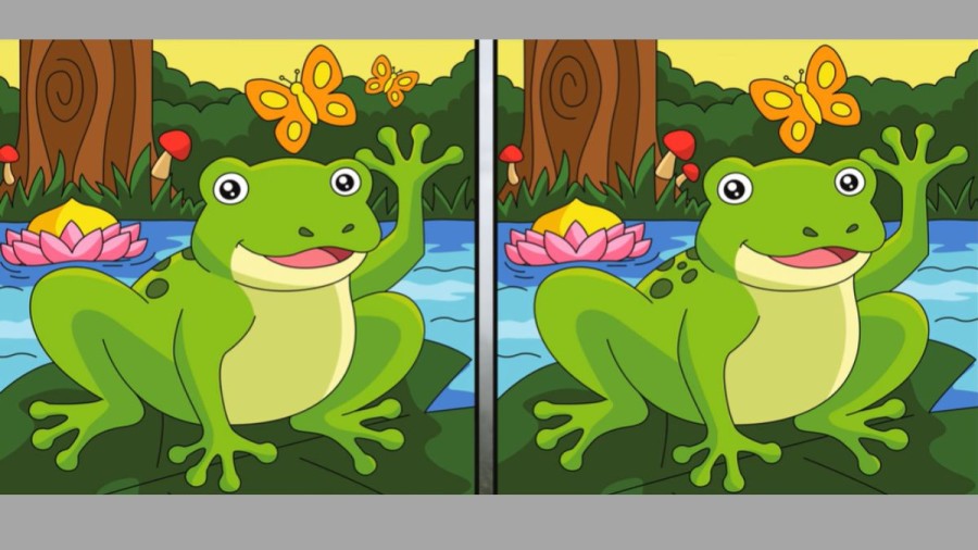 Spot the difference: Only a genius can find the 5 differences in less than 30 seconds!