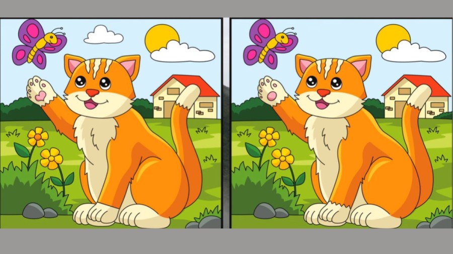 Spot the difference: Only a genius can find the 5 differences in less than 30 seconds!