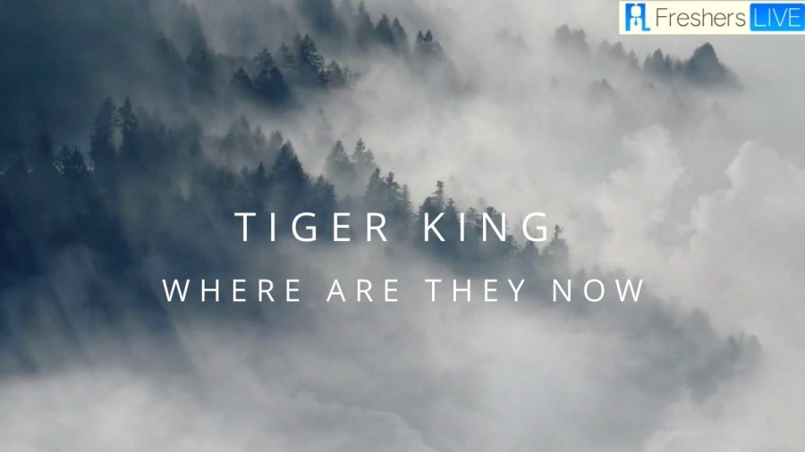 Tiger King Where Are They Now? Tiger King: Where Are the Cast Now?