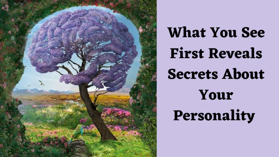 What You See First Reveals Secrets About Your Personality | Personality Test