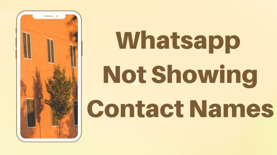 Whatsapp Not Showing Contact Names, How To Fix Whatsapp Not Showing Contact Names?