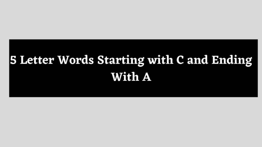 5 Letter Words Starting with C and Ending With A - Wordle Hint