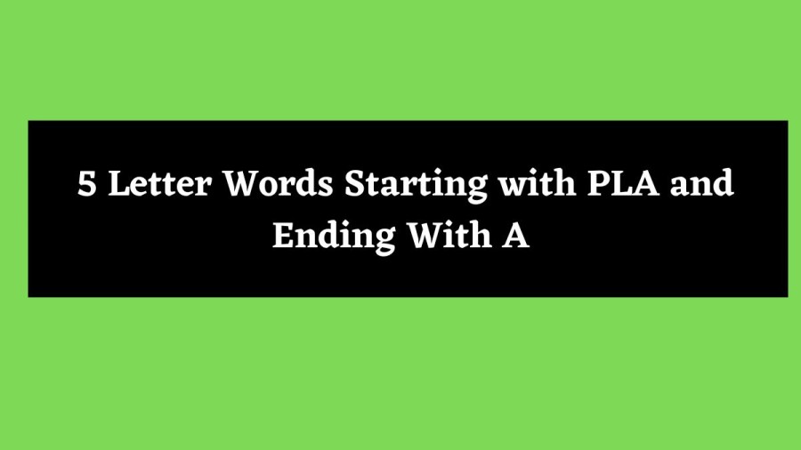 5 Letter Words Starting with PLA and Ending With A - Wordle Hint