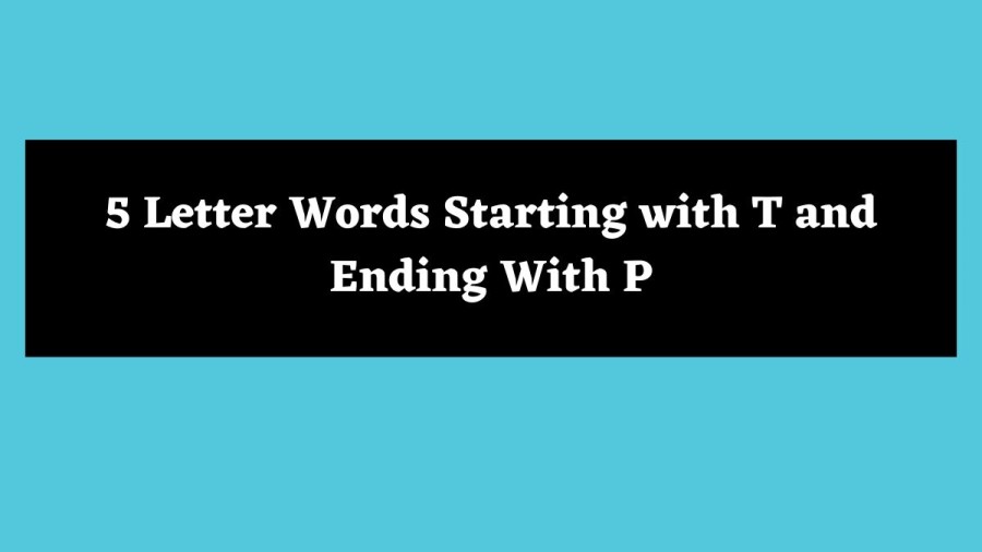 5 Letter Words Starting with T and Ending With P - Wordle Hint