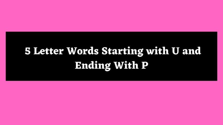 5 Letter Words Starting with U and Ending With P - Wordle Hint