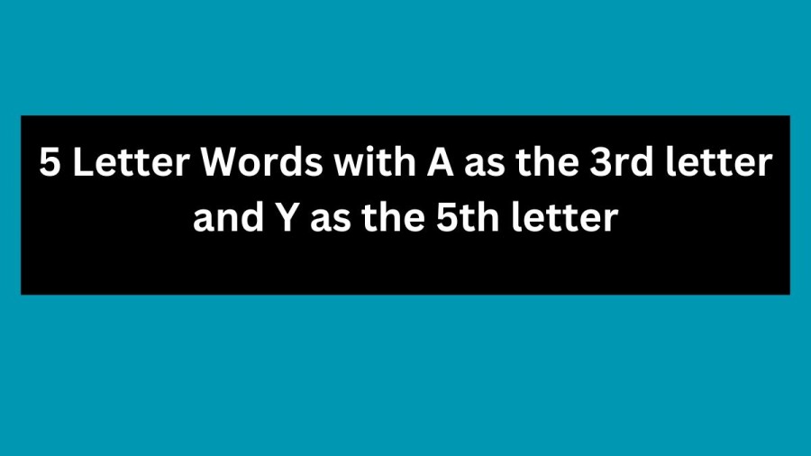 5 Letter Words with A as the 3rd letter and Y as the 5th letter - Wordle Hint