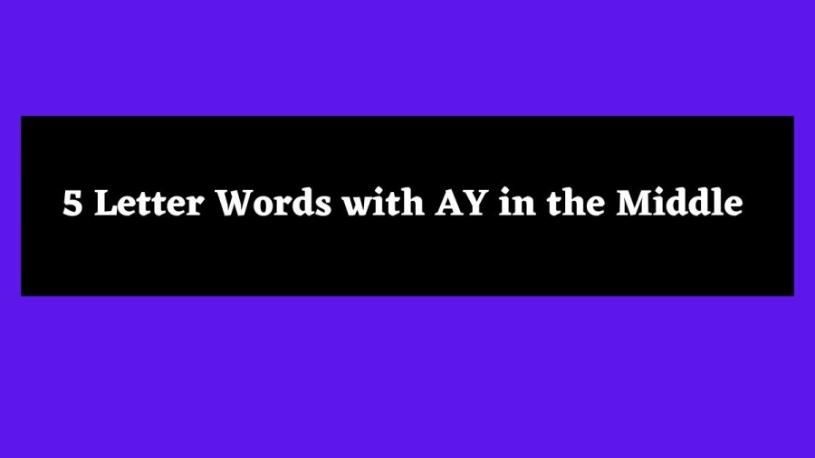 5 Letter Words with AY in the Middle - Wordle Hint