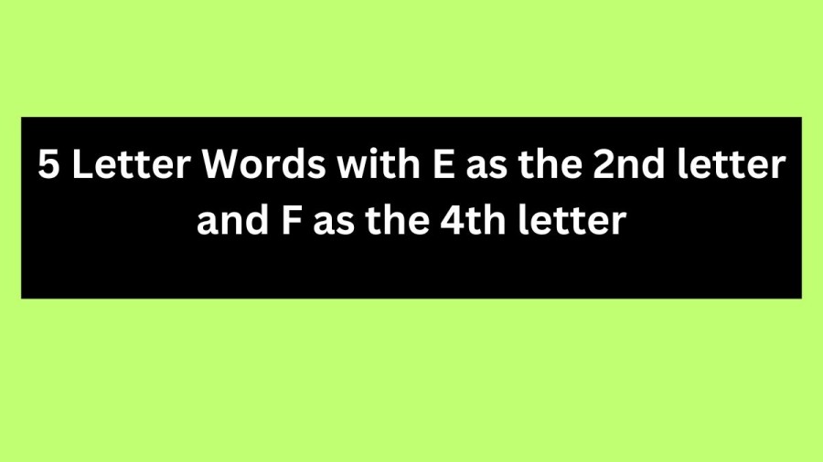 5 Letter Words with E as the 2nd letter and F as the 4th letter - Wordle Hint