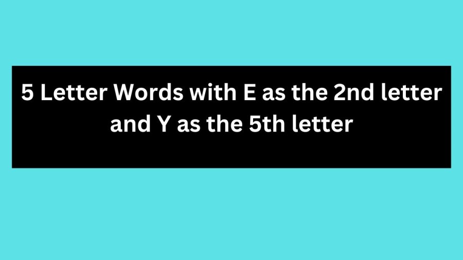 5 Letter Words with E as the 2nd letter and Y as the 5th letter - Wordle Hint