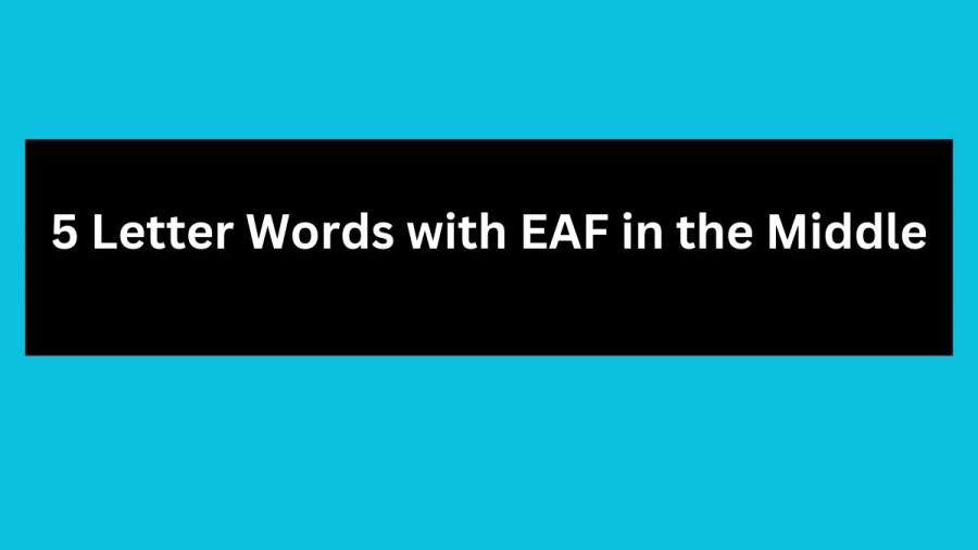 5 Letter Words with EAF in the Middle - Wordle Hint