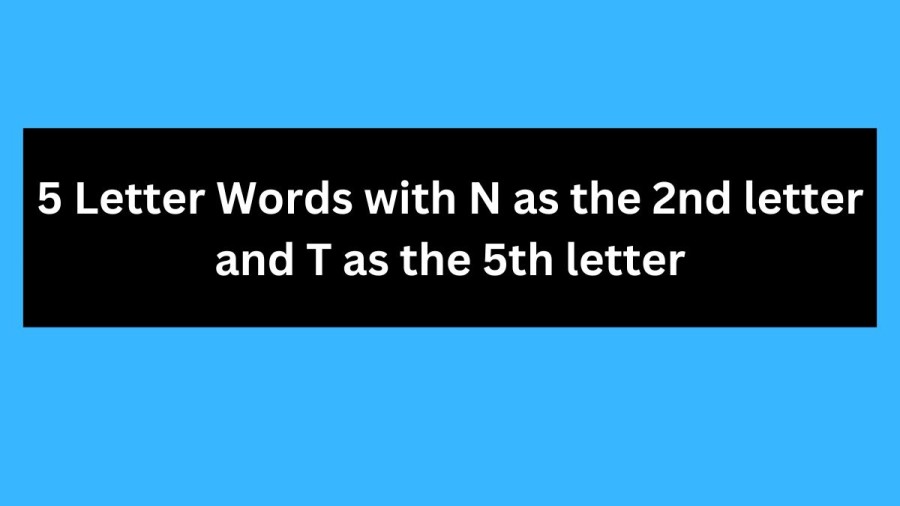 5 Letter Words with N as the 2nd letter and T as the 5th letter - Wordle Hint