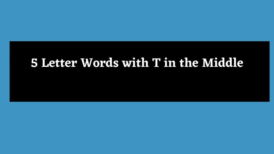 5 Letter Words with T in the Middle - Wordle Hint