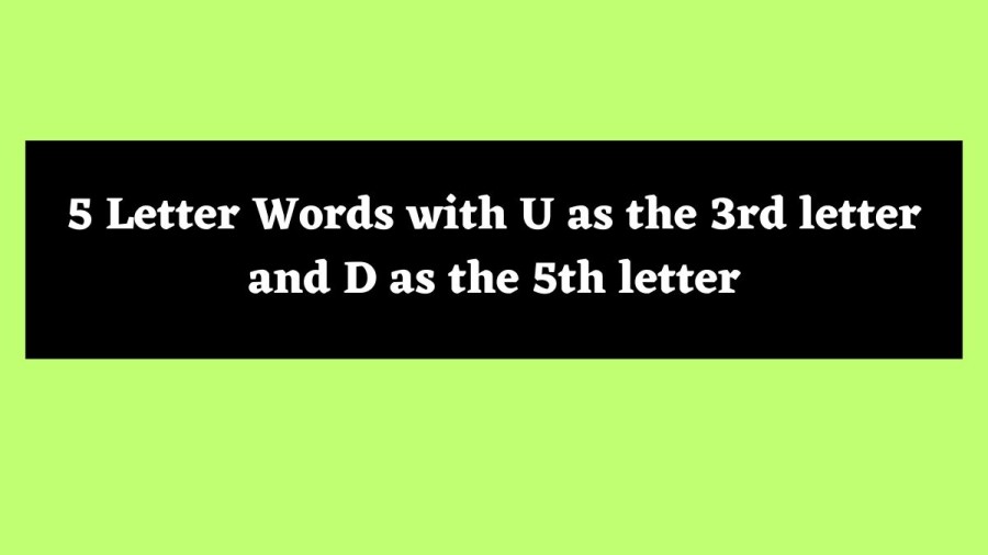 5 Letter Words with U as the 3rd letter and D as the 5th letter - Wordle Hint