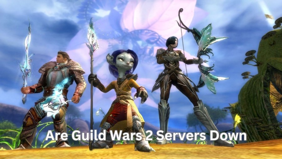 Are Guild Wars 2 Servers Down Check Guild Wars 2 Server Status, Maintenance, Problems And Outages