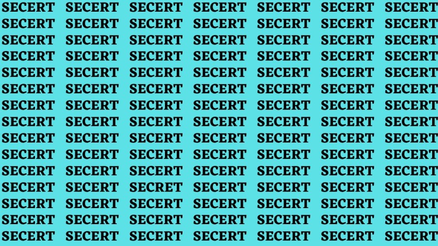 Brain Teaser: If you have Eagle Eyes Find the Word Secret in 20 Secs