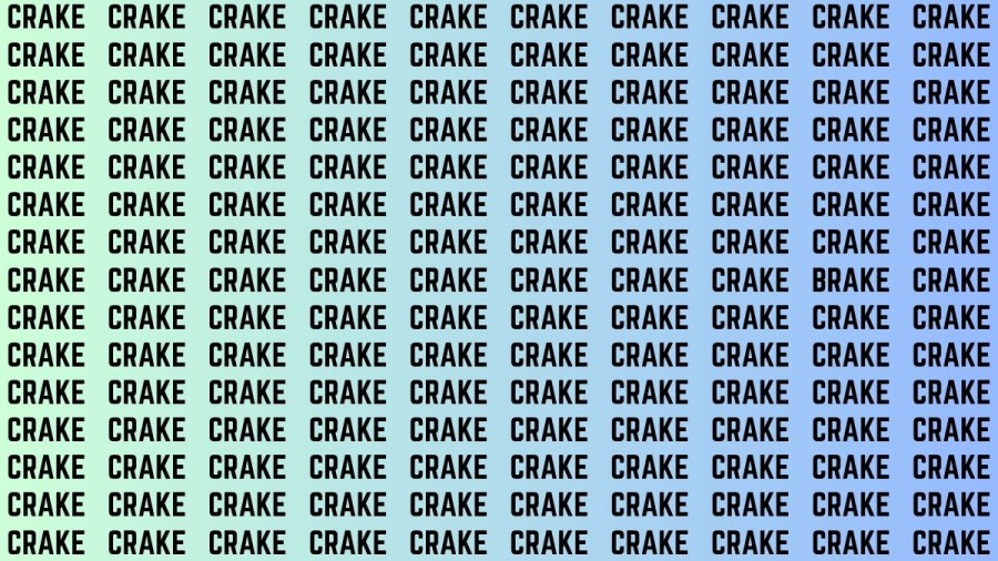 Brain Teaser: If you have Hawk Eyes Find the Word Brake among Crake in 15 Secs