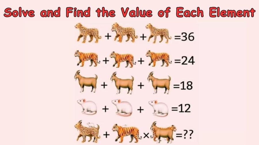 Brain Teaser Logic Puzzle: Solve and Find the Value of Each Element