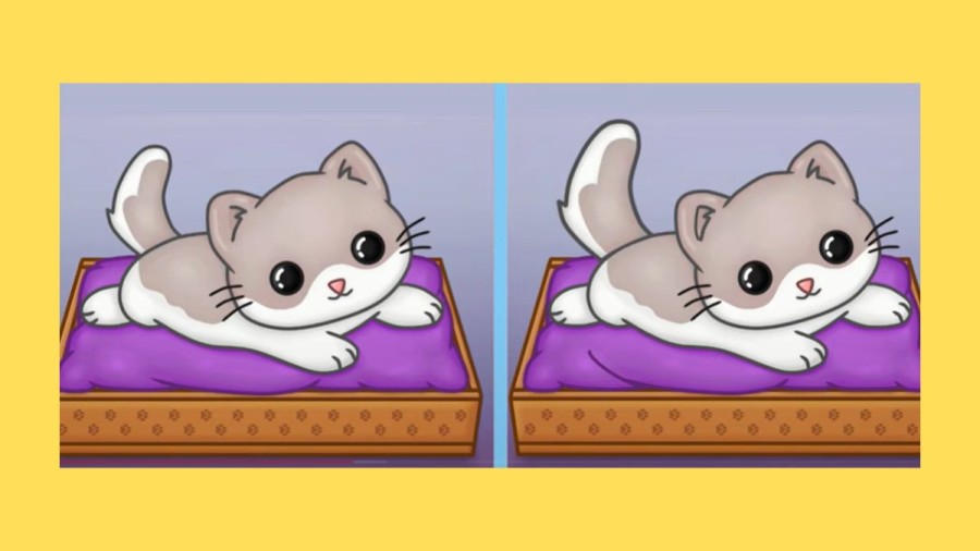 Brain Teaser Spot the Difference Puzzle: Can you Spot 3 Differences in these Pictures?