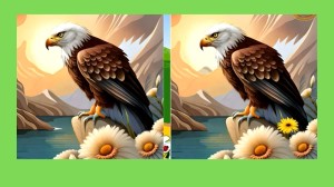 Brain Teaser Spot the Difference Puzzle: Can you Spot 3 Differences in these Pictures?