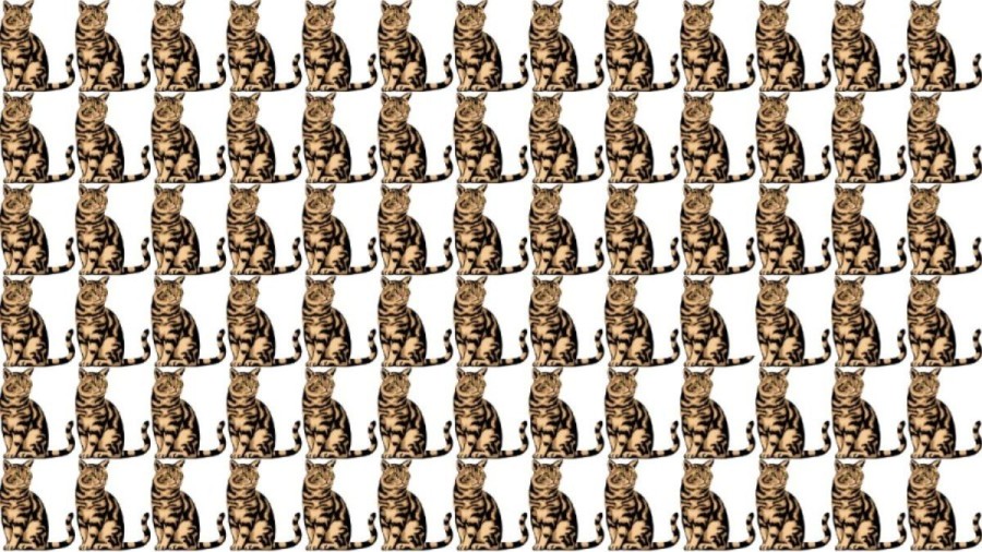 Brain Teaser to Test your Eyes: Can you find the Odd One Out in this Picture in 12 Secs?